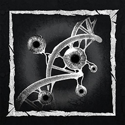 Pact