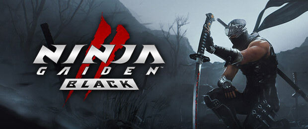NINJA GAIDEN 2 Black