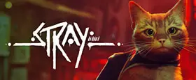 Stray